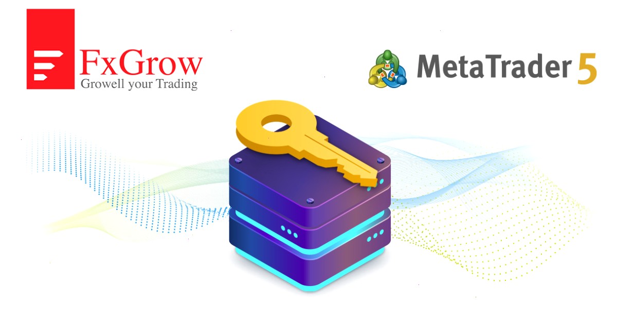 FxGrow Limited: “MetaTrader 5访问服务器主机服务拥有其他提供商无法比拟的优势”